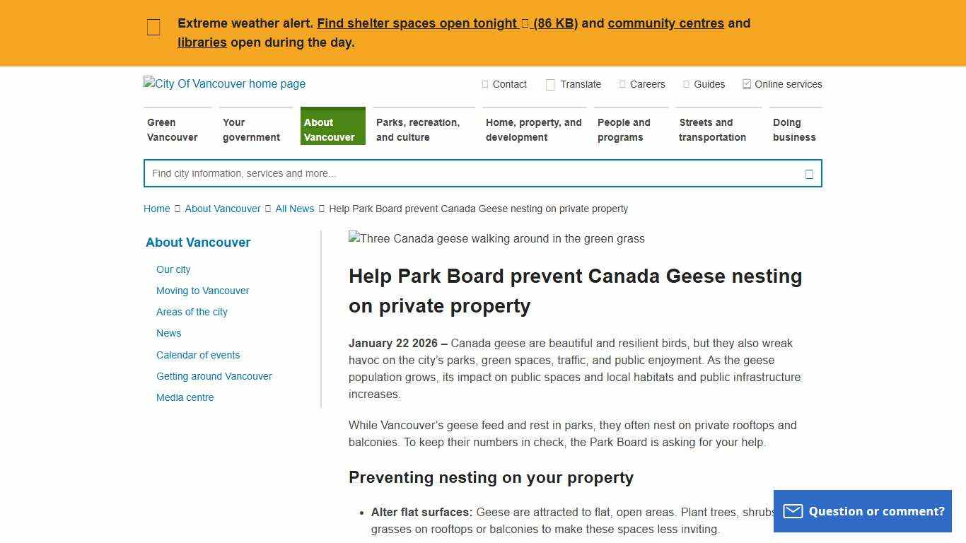 Help Park Board prevent Canada Geese nesting on private property City of Vancouver